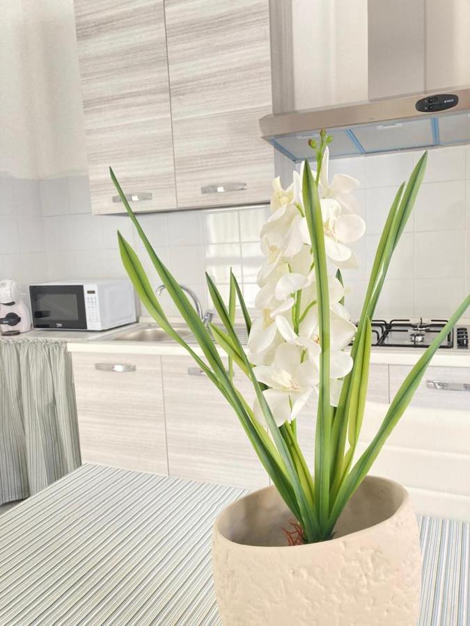 Angolo Di Sicilia Villa Partanna ภายนอก รูปภาพ